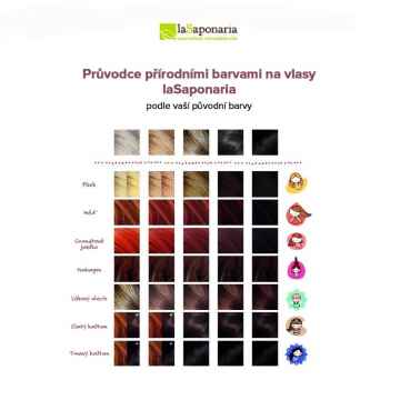 laSaponaria Přírodní barva na vlasy Shakti BIO, růže 100 g